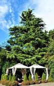 Туры в отель Ascot Hotel Туры в отель Ascot Hotel