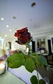 Туры в отель Ascot Hotel Туры в отель Ascot Hotel