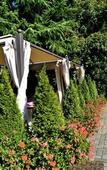 Туры в отель Ascot Hotel Туры в отель Ascot Hotel