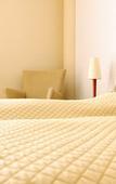 Туры в отель Scheck Hotel Туры в отель Scheck Hotel