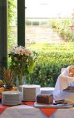 Туры в отель Scheck Hotel Туры в отель Scheck Hotel