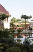 Туры в отель Hotel Seegarten Туры в отель Hotel Seegarten