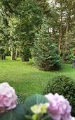 Туры в отель Hotel Park Villa Туры в отель Hotel Park Villa