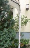 Туры в отель Hotel Pension Haydn Туры в отель Hotel Pension Haydn