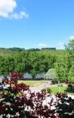 Туры в отель Panorama Hotel Rheinkrone Туры в отель Panorama Hotel Rheinkrone