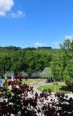 Туры в отель Panorama Hotel Rheinkrone Туры в отель Panorama Hotel Rheinkrone