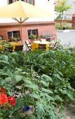 Туры в отель Hotel Villa Monte Vino Туры в отель Hotel Villa Monte Vino