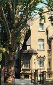 Туры в отель Hotel Villa Achenbach Туры в отель Hotel Villa Achenbach
