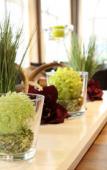 Туры в отель Lobinger Hotel - Weisses Ross Туры в отель Lobinger Hotel - Weisses Ross