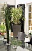 Туры в отель Hotel Villa im Park Туры в отель Hotel Villa im Park