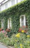 Туры в отель Hotel Dollnsee-Schorfheide Туры в отель Hotel Dollnsee-Schorfheide
