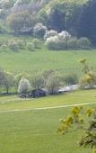 Туры в отель Collegium Glashutten GmbH Туры в отель Collegium Glashutten GmbH