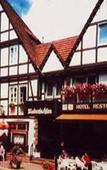 Туры в отель Ringhotel Niedersachsen Туры в отель Ringhotel Niedersachsen