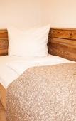 Туры в отель ARRIVEL Pension Haus am Bach Туры в отель ARRIVEL Pension Haus am Bach