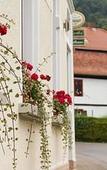 Туры в отель Hotel Ari Туры в отель Hotel Ari