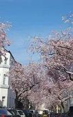 Туры в отель Tm Suites Туры в отель Tm Suites