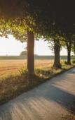 Туры в отель Zum Vater Rhein Туры в отель Zum Vater Rhein