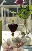 Туры в отель Hotel Kaiser Туры в отель Hotel Kaiser