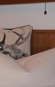Туры в отель Hotel Reiter Brau Туры в отель Hotel Reiter Brau