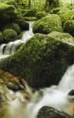 Туры в отель Hotel Engel Туры в отель Hotel Engel