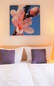 Туры в отель SMARTY Airport Cologne Hotel Туры в отель SMARTY Airport Cologne Hotel