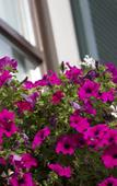 Туры в отель Hotel Obermaier Туры в отель Hotel Obermaier