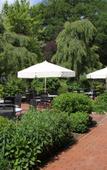 Туры в отель Hotel Landhaus Pollmeyer Туры в отель Hotel Landhaus Pollmeyer