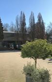 Туры в отель Hotel Gut Moschenhof Туры в отель Hotel Gut Moschenhof