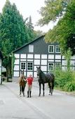 Туры в отель Hotel Gut Moschenhof Туры в отель Hotel Gut Moschenhof