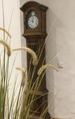 Туры в отель Hotel Gut Moschenhof Туры в отель Hotel Gut Moschenhof