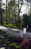 Туры в отель Zur Wolfschlucht Туры в отель Zur Wolfschlucht