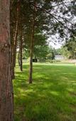 Туры в отель Parkhotel Viktoria Туры в отель Parkhotel Viktoria