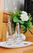 Туры в отель Parkhotel Viktoria Туры в отель Parkhotel Viktoria