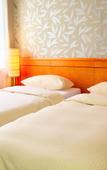 Туры в отель Parkhotel Viktoria Туры в отель Parkhotel Viktoria