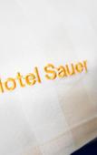 Туры в отель Hotel Sauer Garni Туры в отель Hotel Sauer Garni