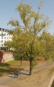 Туры в отель Hotel Schopenhauer Hof Туры в отель Hotel Schopenhauer Hof