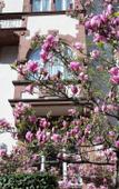 Туры в отель Hotel Robert Mayer Туры в отель Hotel Robert Mayer