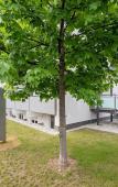 Туры в отель Centerroom Munchen City Туры в отель Centerroom Munchen City