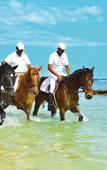Туры в отель Maritim Resort & Spa Mauritius Туры в отель Maritim Resort & Spa Mauritius