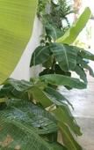 Туры в отель B&B Villa Luna Туры в отель B&B Villa Luna