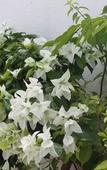 Туры в отель B&B Villa Luna Туры в отель B&B Villa Luna