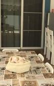 Туры в отель B&B Villa Luna Туры в отель B&B Villa Luna