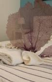Туры в отель B&B Villa Luna Туры в отель B&B Villa Luna