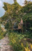 Туры в отель Taino Beach Lofts Туры в отель Taino Beach Lofts