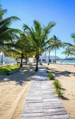 Туры в отель The Palm Bay Club Lodge Туры в отель The Palm Bay Club Lodge