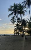 Туры в отель The Palm Bay Club Lodge Туры в отель The Palm Bay Club Lodge