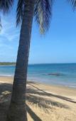 Туры в отель The Palm Bay Club Lodge Туры в отель The Palm Bay Club Lodge