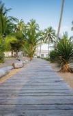 Туры в отель The Palm Bay Club Lodge Туры в отель The Palm Bay Club Lodge