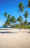Туры в отель The Palm Bay Club Lodge Туры в отель The Palm Bay Club Lodge