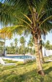 Туры в отель The Palm Bay Club Lodge Туры в отель The Palm Bay Club Lodge